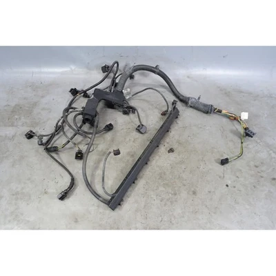 Arnés de cableado del motor BMW Serie 3 E46 M54 2003-2006 dañado enchufe alternativo ovalado OEM Foto 1 de 4
