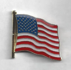US Flag Pin - Patriotic - BC Patch Cat. No. C7082 - Picture 1 of 1