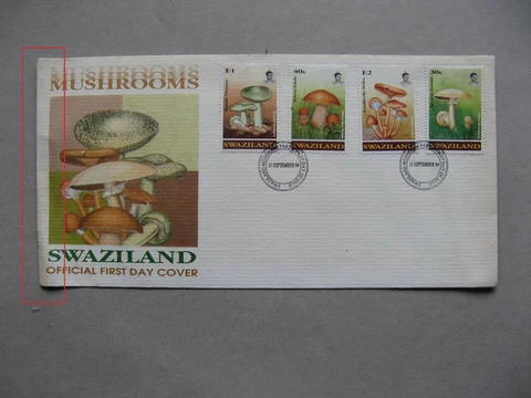 SWAZILAND, cover FDC 1994, mushrooms Cover