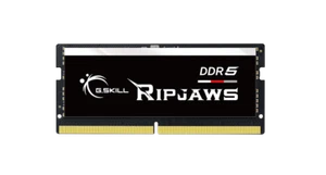 G.SKILL F5-4800S4039A16GX1-RS 16GB (1 x 16GB)/ DDR5 4800 MT/s / Voltage 1.1V - Picture 1 of 3