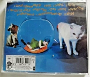 ANI DIFRANCO LITTLE PLASTIC CASTLE CD NO FESTIVALBAR SANREMO JAZZ M - Picture 1 of 3