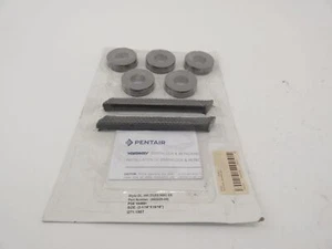 Pentair Yarway 965920-06 GL 490 ZN Graphlock & 98 MBC ZN Packing Set 2-1/16" ... - Picture 1 of 6