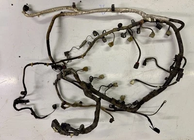 Ford F150 2009 motor cableado eléctrico arnés de cables 5,4 L 4x4 automático Foto 1 de 4