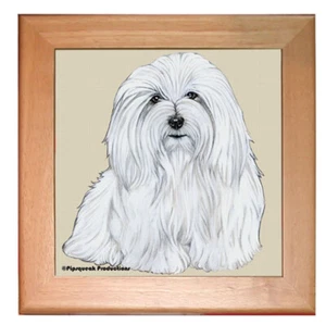 Coton De Tulear Dog Kitchen Ceramic Trivet  Framed in Pine 8" x 8" - Picture 1 of 1