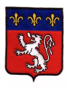 Aufnäher PATCH WAPPEN Wappen RHONES ALPES LYON NEU - Bild 1 von 1