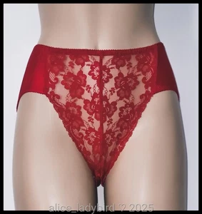 Vintage PANTIES Hi-cut Brief SATIN Stretch Nylon FLORAL Lace ~M/6 - Picture 1 of 4