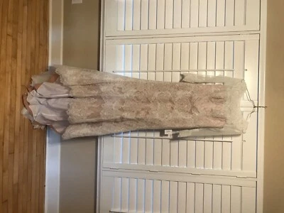 Vestido de novia David's talla 10, encaje nuevo con etiquetas Foto 1 de 4