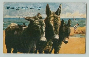 POSTCARD DONKEY. BEACH WAITING AND WILLING 1919 - Picture 1 of 2