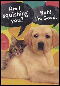 Greeting Card - Cat Dog - Anniversary - 0188 - Picture 1 of 2
