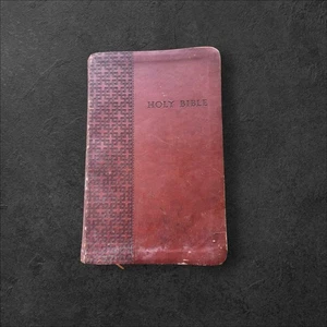 Tyndale Nlt Bibel mit Goldrand Leder gebunden Top Zustand - Bild 1 von 9