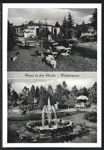 Wintermoor a. d. Ch., Ansichtskarte, Pension Haus in der Heide  - Picture 1 of 2