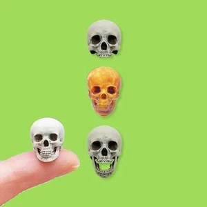Human skull Miniature, 1:18 Scale replica dollhouse diorama (set of 5) - Picture 1 of 4