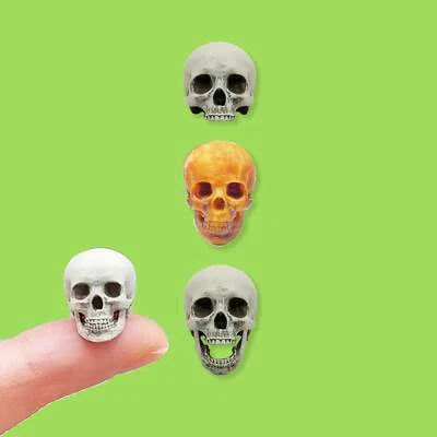 THE SCALE GRAIL Human skull Miniature, 1:18 Scale replica dollhouse diorama (set of 5)