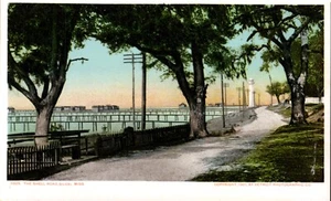The Shell Road, Biloxi Miss. Detroit Photographic Undivided Postcard - Picture 1 of 2