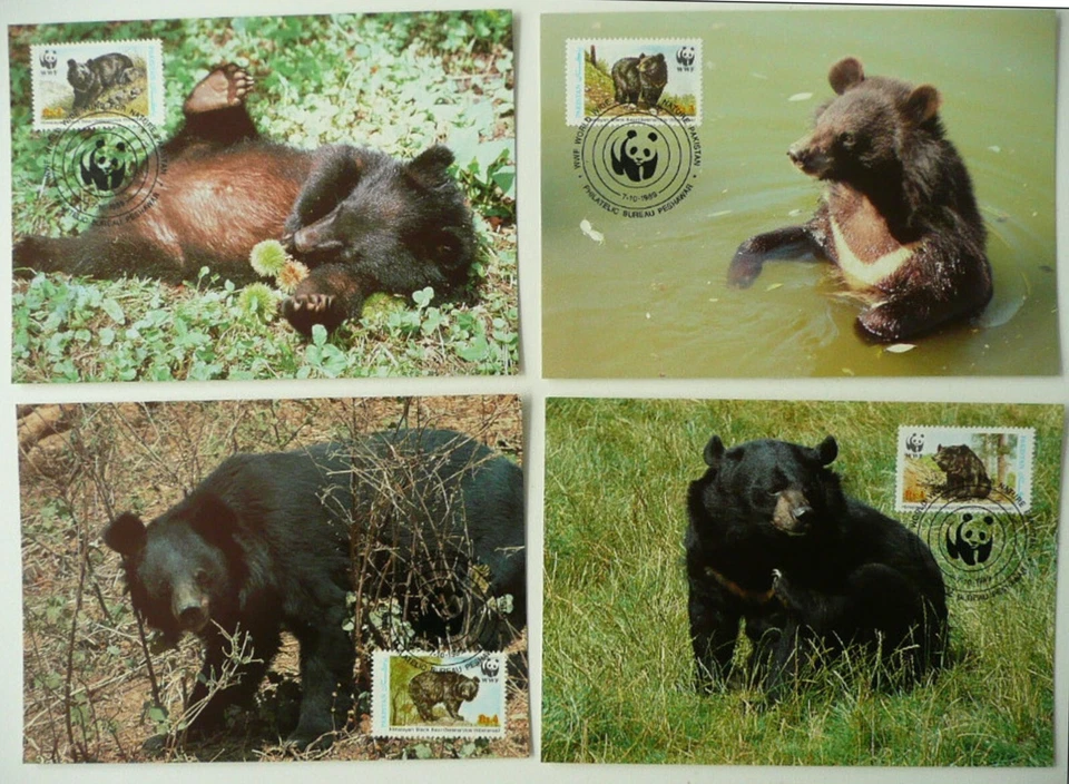 Pakistan 1989 ☀ W.W.F. - Fauna Himalayan Black bear ☀ 4x Maximum card - Image 1 of 1
