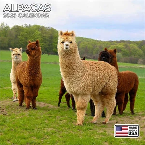 Calendario Alpacas 2025 - Lindo Calendario de Pared Animal - ¡Hecho en EE. UU.! - Imagen 1 de 8