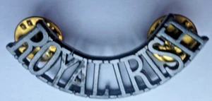 ROYAL IRISH REGIMENT SHOULDER TITLE - Picture 1 of 2