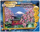 Ravensburger 28841 Malen nach Zahlen Malset Japanische Kirschbluete 40 x 30 cm