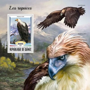 BIRDS OF PREY Eagles/Bird/Birds 1v MNH Stamp Sheet #880 (2018 Guinea) - Picture 1 of 1