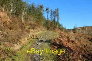 Photo 12x8 7 Stanes Mountain bike trail Murray's Monument 5 c2016 - Picture 1 of 1