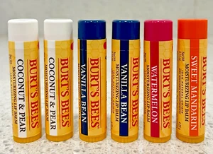 BÁLSAMO LABIAL REPONEDOR BURT'S BEES 6 PIEZAS ¡ENVÍO GRATUITO!! - Imagen 1 de 4
