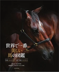 Die schönsten Pferde der Welt: Ein illustrierter Führer japanisches Buch - Bild 1 von 7