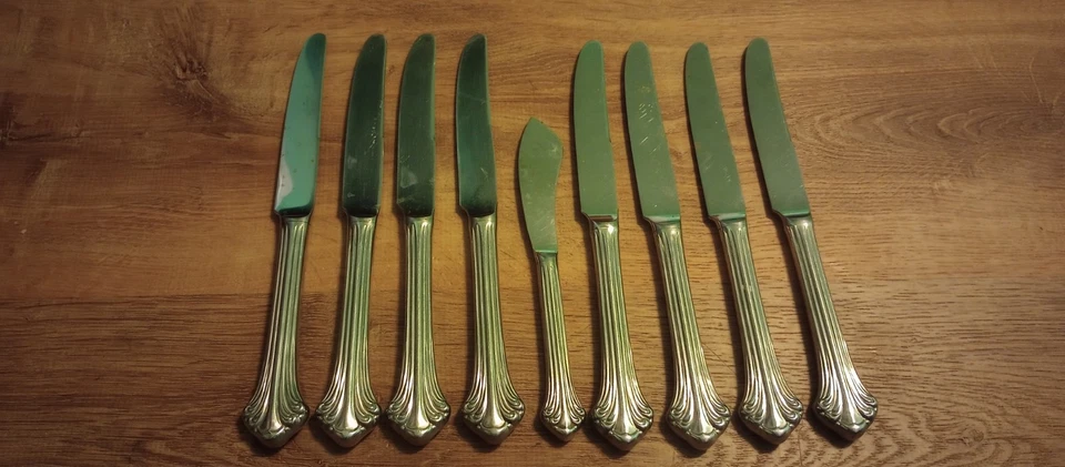 Colonial Plume Handle 18/8 Stainless Garmany  9 3/8" New French Hollow knife Lot — 第 1/4 张图片