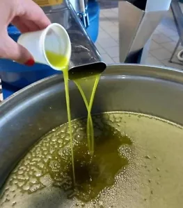 olio extravergine di oliva 2024 5 litri - Foto 1 di 5