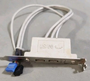 Vintage OEM MSI USB 2 Rear/Back Plate Panel Adapter/Cable PC In Very Good Cond! - Picture 1 of 2