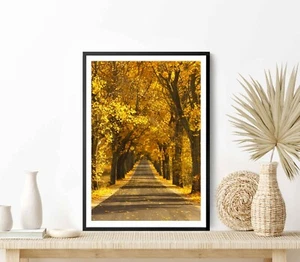 Colorful Autumn Road in Northern Poland Poster Premium Quality Choose your Size - Picture 1 of 5