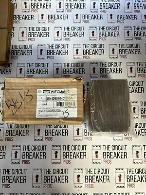 Wiegmann Bn4060404chssa Nema 3R,  6H, X 4W, X 4D - Изображение 1 из 4