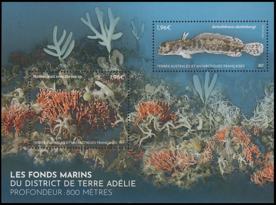 TAAF FRANCE ANTARCTIC 2025 FISH POISSONS FISCHE PESCE MARINE FAUNA FSAT - Image 1 of 1