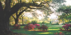 Litografía Southern Hospitality de Larry Dyke S/N LE Árboles paisaje 17x34 - Imagen 1 de 1