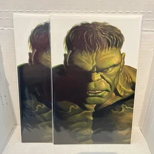 Marvel The Immortal Hulk #37 Alex Ross variante Vergine senza tempo NON CLASSIFICATO - Foto 1 di 3