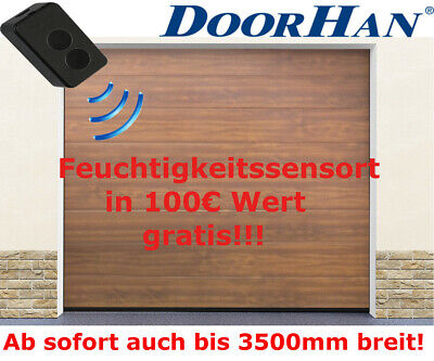 Garagentor Sektionaltor DoorHan ISO 40 Golden...