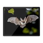 Placemat Mousemat 8x10 - Cool Flying Long Eared Bat  #3427