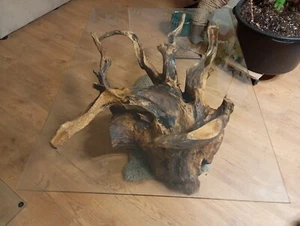 Couchtisch Wurzelstock 130cm Sofatisch  mit Glasplatte Wurzelstock - Bild 1 von 2