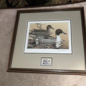 Larry Hayden-Arkansas 1984-Bois D'Arc Pintails Stamp & Print-Framed-Remarque - Picture 1 of 11