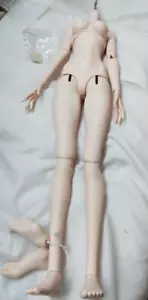 Muñeca 1/3 BJD Alma Mujer Niña Cuerpo - Solo Cuerpo (Sin cabeza) + DHL - Imagen 1 de 2