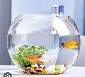 pecera/terrario de cristal. Capacidad 7 Litros hasta el borde. Como nueva. - Imagen 1 de 8