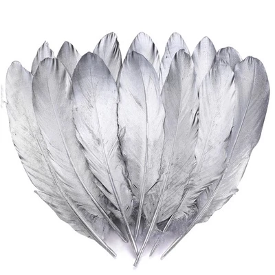 Plumas de ganso plateado para manualidades - 6-8 pulgadas 60 piezas plumas naturales para Weddi Foto 1 de 4