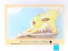 Jolteon Pokemon Center Eevee & Colorful Friends Clear Card From Japan F/S