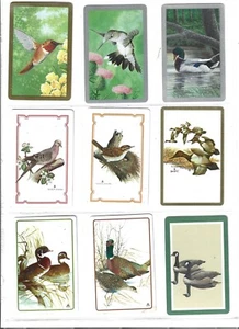 54 cartas de intercambio individuales de cartas para jugar pájaros diferentes - Imagen 1 de 12