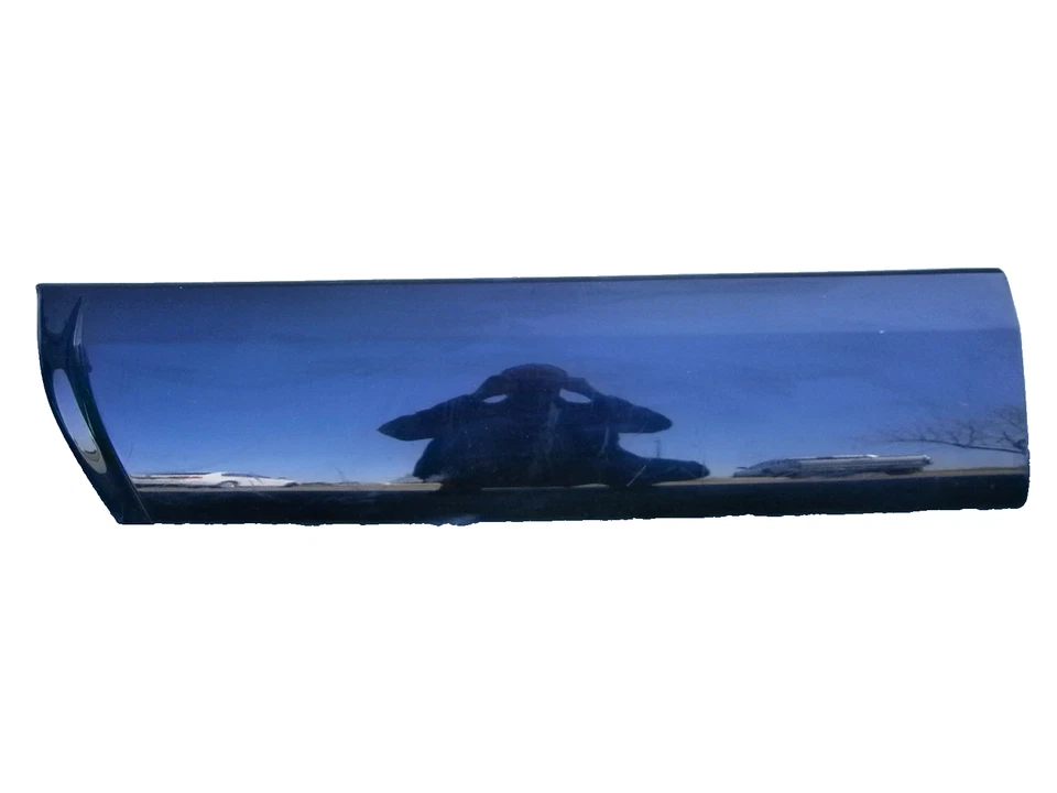 dp60394 Infiniti QX4 2001 2002 2003 puerta delantera moldura izquierda OEM Foto 1 de 4