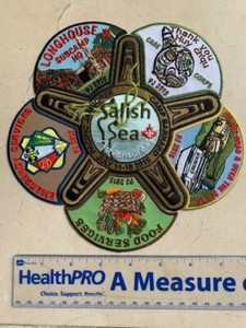 RARE 2015 Pacific Jamboree - Services / Departments Patches Set