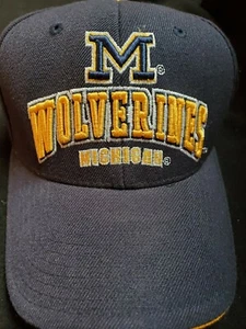 Vintage MICHIGAN WOLVERINES NCAA ADULT BLUE HAT CAP ADJUSTABLE  BY COLOSSEUM - Picture 1 of 5