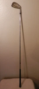 Vintage Spalding Molitor Ladies Oversize Stainless 3 Iron RH 38" - Picture 1 of 7