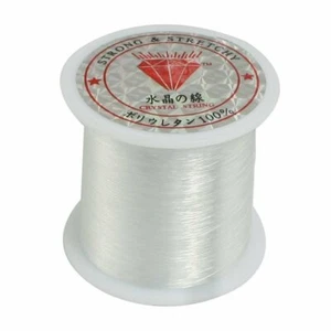 0.2mm Diameter Clear Nylon Fish Fishing Line Spool Beading StRing New - Picture 1 of 1