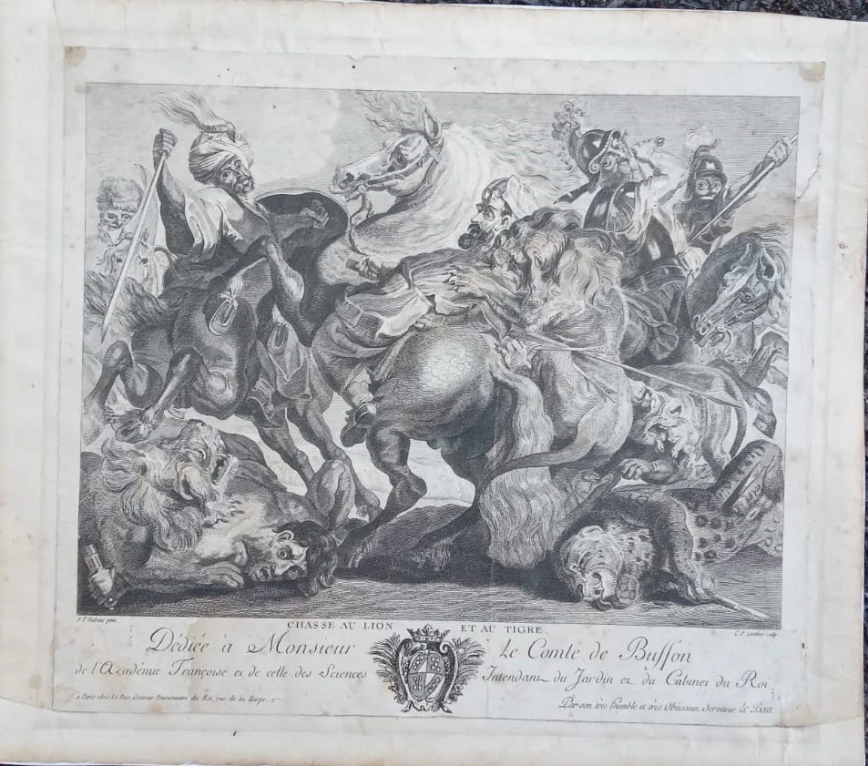 GRAVURE EN NOIR DU XVIIIe SIECLE " CHASSE AU LION ET AU TIGRE  " P.P RUBENS - Photo 1/4