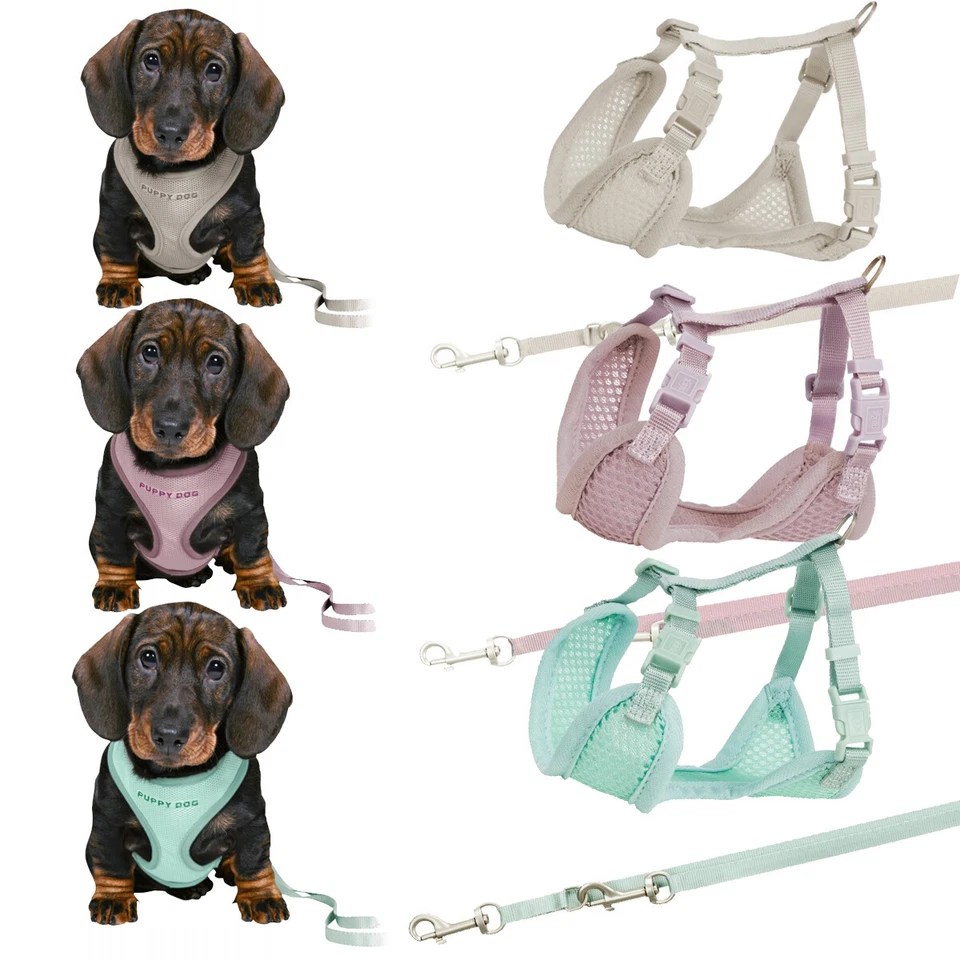 TRIXIE JUNIOR Welpen-Softgeschirr mit Leine Hundegeschirre Hundeleine Welpen Sof